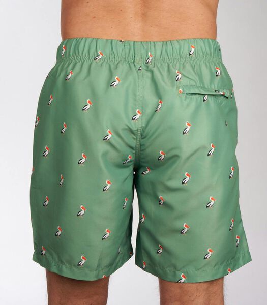 Short De Bain Pelican