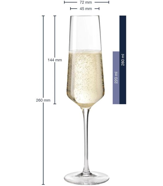 Champagneglazen Puccini - 280 ml - 6 stuks