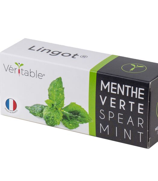 Lingot® Spearmint - voor Véritable® Indoor Moestuinen