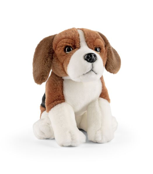 knuffel Beagle