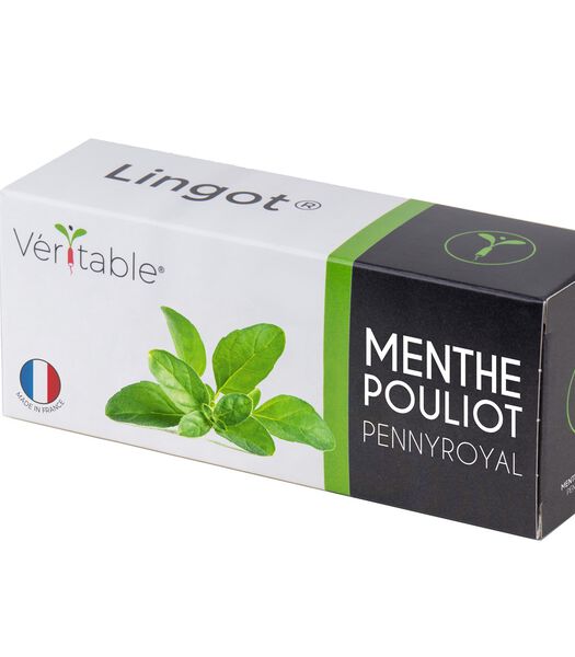 Lingot® Menthe Poulliot