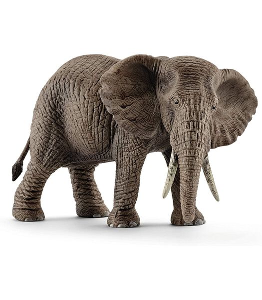 Safari - Éléphant d'Afrique, femelle 14761