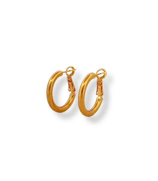 Oorbellen - Ring 2cm - Goud