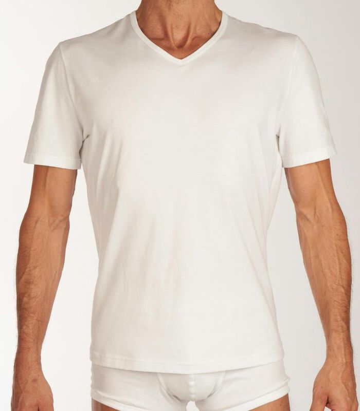 T-Shirt V-Hals GO Regular Fit image number 0