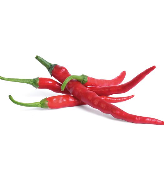 Lingot® Piment de Cayenne BIO