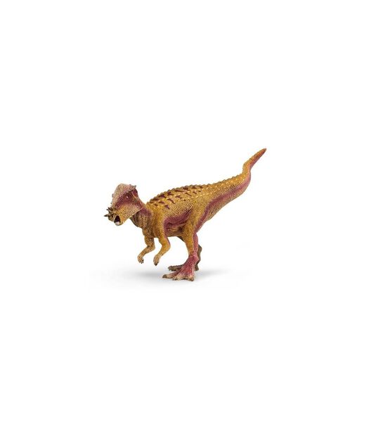 Dinosaure  - Pachycephalosaurus 15024