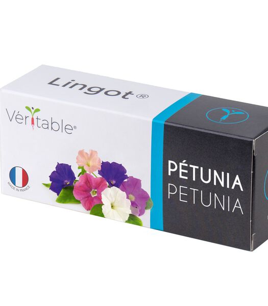 Lingot® Petunia - voor Véritable® Indoor Moestuinen