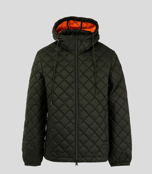 Veste à capuche Pinège Homme