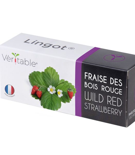 Lingot® Rode bosaardbei - voor Véritable® Moestuinen