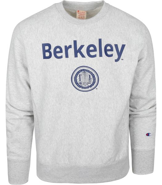 Sweater Logo Berkely Grijs