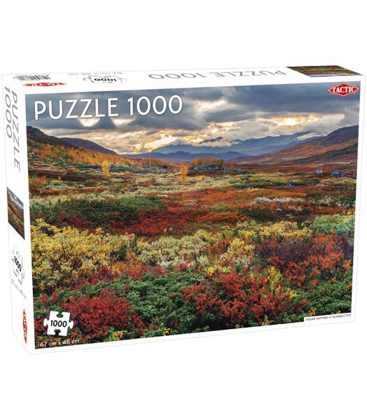 Puzzel Around the World Northern Stars: Indian Summer in Norrbotten - 1000 stukjes