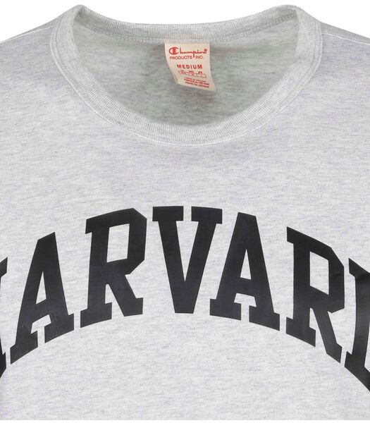 Champion T-Shirt Harvard Gris
