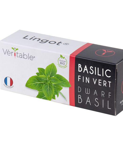 Lingot® Fijne Basilicum Groen BIO - voor Moestuinen