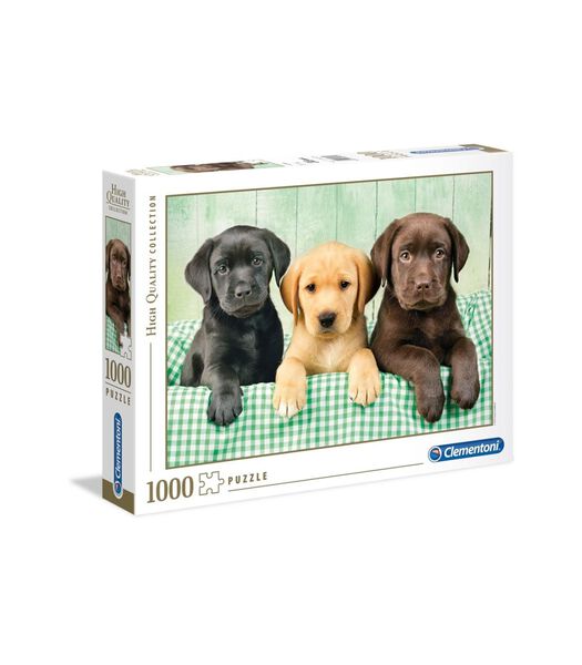 Puzzel 1000 Three Labrador