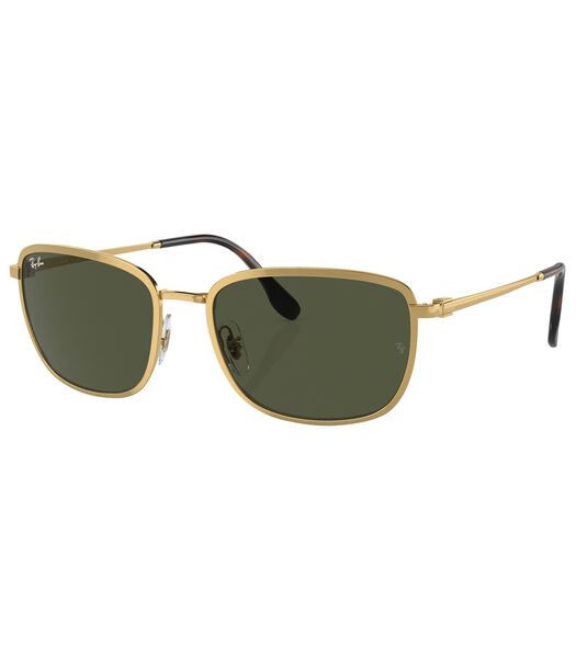 Lunettes De Soleil Carrées RB3705