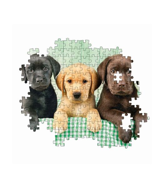 Puzzel 1000 Three Labrador