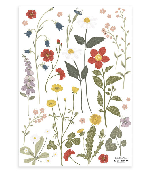 Stickers fleurs sauvages Wildflowers, Lilipinso
