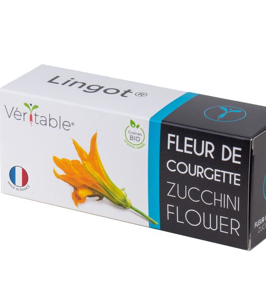 Lingot® Fleur de courgette BIO