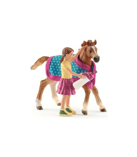 Chevaux- Poulain avec Plaid 42361