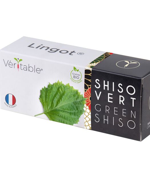 Lingot® Shiso vert BIO