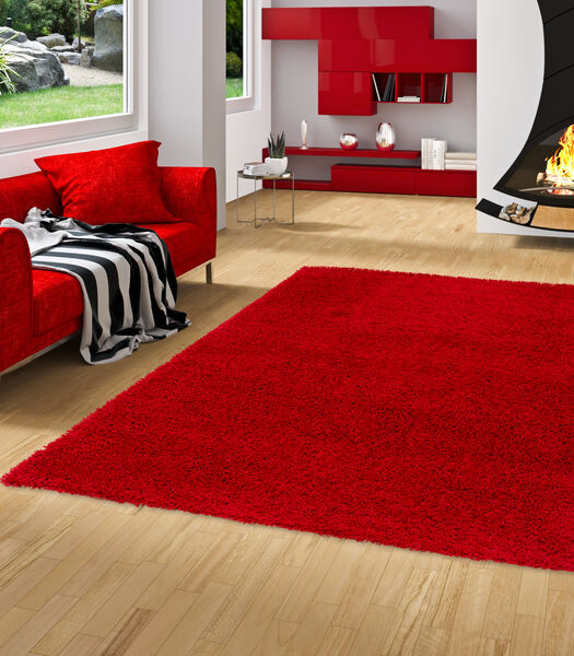 Fluffy - Tapis Shaggy à poils longs