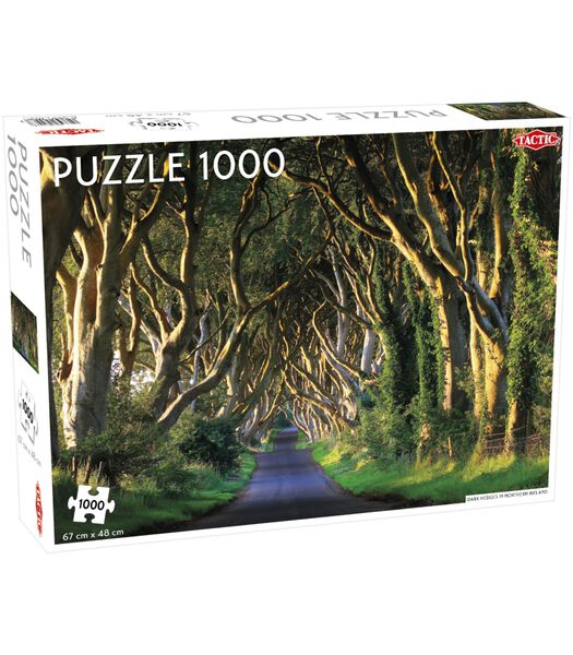Puzzel Dark Hedges in Northern Ireland 1000 Stukjes