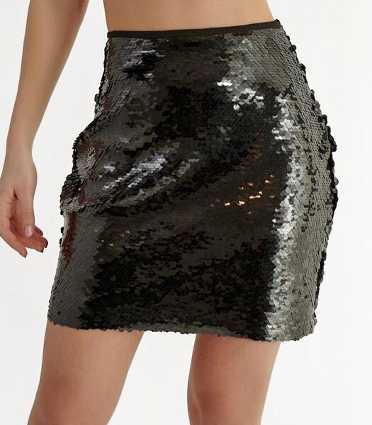 Charlotte Mini Skirt
