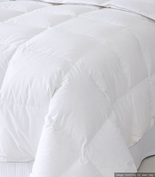 PALACE Couette Tempérée LUXE, 70% duvet d'oie