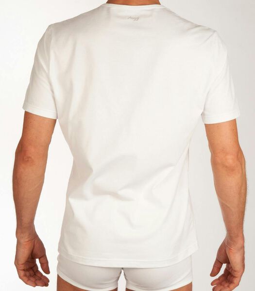 T-Shirt V-Hals GO Regular Fit