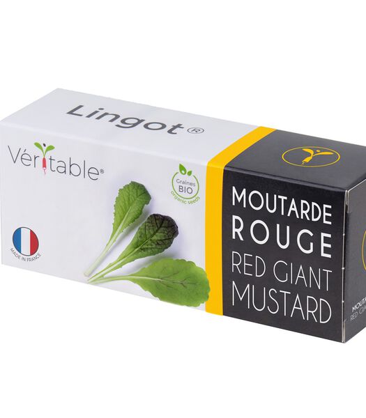 Lingot® Moutarde rouge BIO