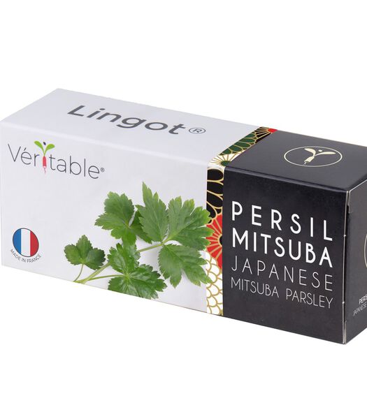 Lingot® Persil japonais mitsuba BIO