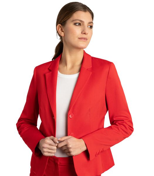 Blazer à deux boutons