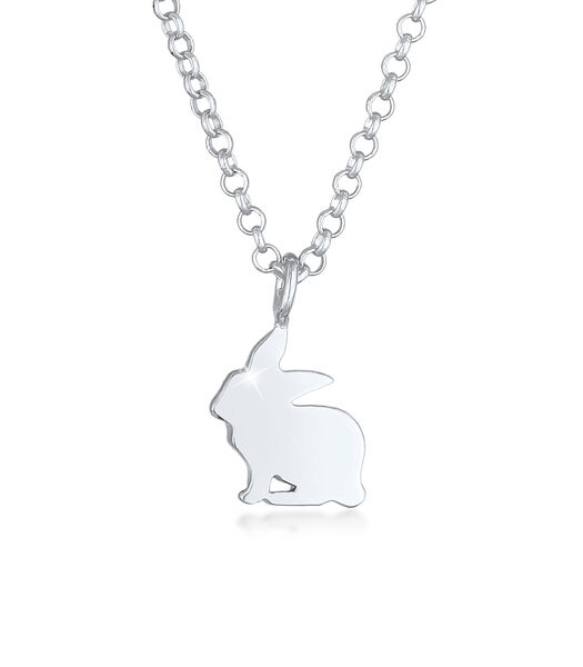 Halsketting Kinderen Konijn Hanger Konijntje Dier Cute Speels In 925 Sterling Zilver