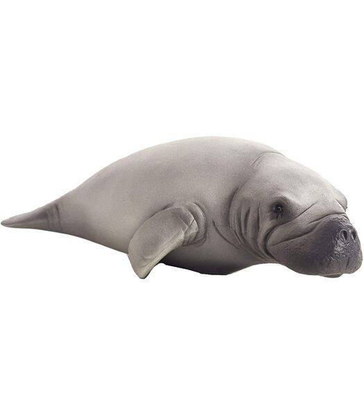 Lanterne jouet  Sealife - 387211