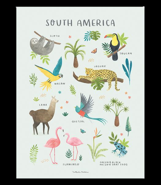 Affiche seule animaux Amérique du sud Living earth, Lilipinso