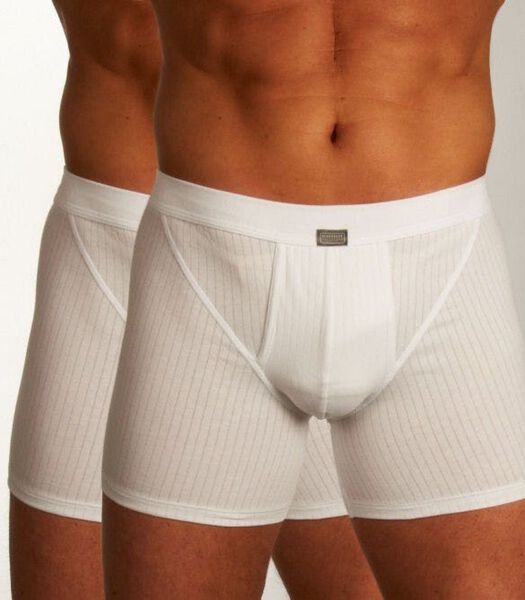 Boxer lot de 2 Authentic Short