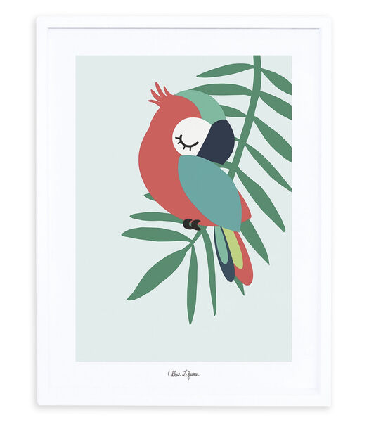 TROPICA - Affiche enfant - Le perroquet (vert)