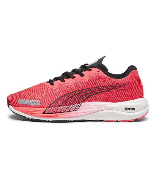 Schoenen van Running Velocity Nitro 2