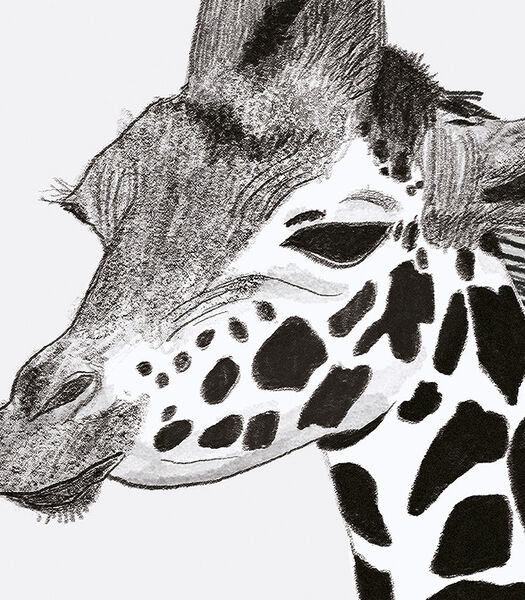 SERENGETI - Affiche encadrée girafe (P0265C)