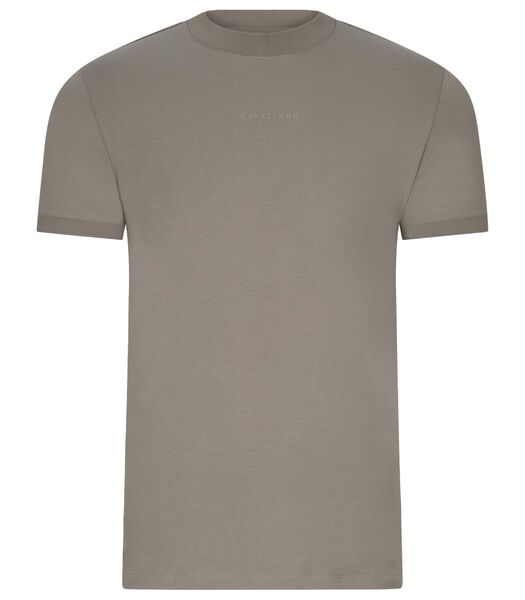 Darenio T-Shirt Logo Groen