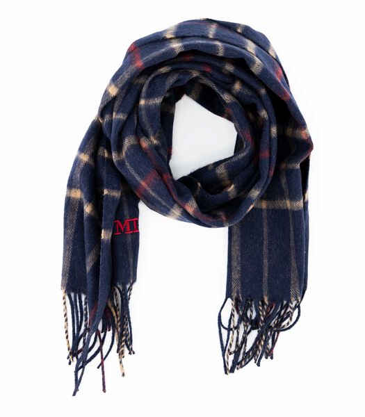 Foulard Bleu Homme